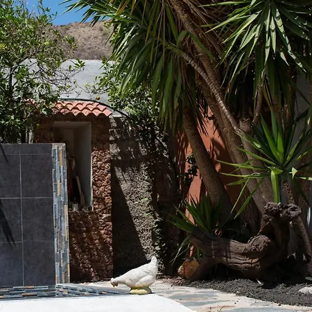 Eco / Bio Finca Tenerias Artedara